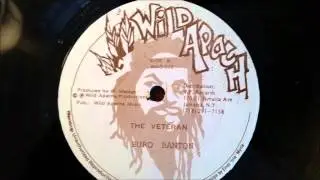 Burro Banton - The Veteran - Wild Apache 12