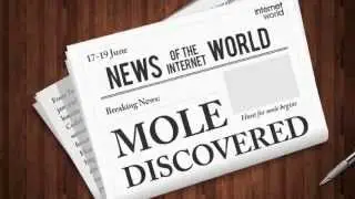 Strategy Mole IW2014