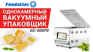 Однокамерный вакуумный упаковщик DZ 300PD Foodatlas, вакуумный пакет, вакуумная упаковка