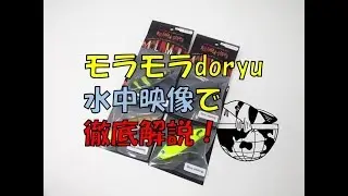 【裏技も】モラモラdoryuを水中映像で徹底解説