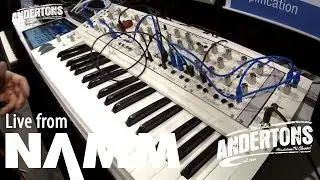 Waldorf KB37 and Eurorack Modules