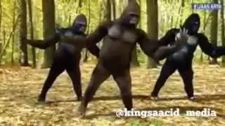 Funy video 2016
