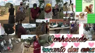 Conhecendo o recanto das aves