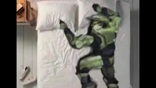 Halo CE FFA chaos