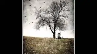 Depressive Suicidal Black Metal - In the Deepest Loneliness