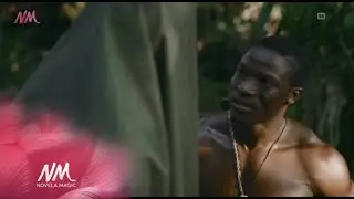 A new kingdom - Ajoche| Novela Magic