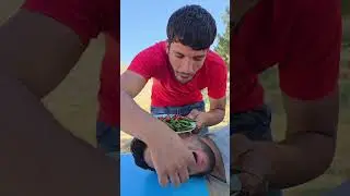 Fun interesting HD 4K 8K #comedy #funny #shorts #youtubeshorts