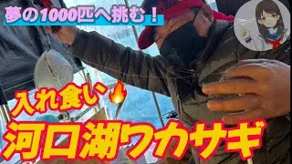 夢の1000匹に挑む！入れ食い河口湖わかさぎ