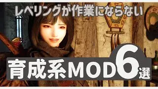 Your Adventure Directly Fuels Your Growth! 6 Recommended Leveling Mods | SKYRIM SE | ENG SUB