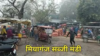 मियागंज सब्जी मंडी ||#gaonvlog #familyvlog #indianvillage #longvlog