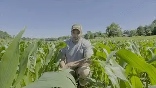 Kevin Kalb Talks MLC & AgriSweet.mp4