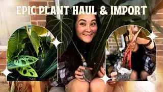 EPIC Planty Unboxing & Haul 🌿 from 3 Etsy Shops! Amazing Ecuador Import!!