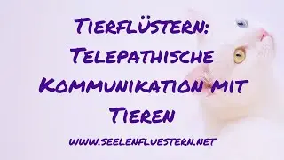Tierfl&uuml;stern: Telepathische Kommunikation mit Tieren