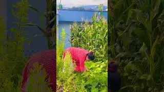 Mero karasha bari #like #shere #subscribe