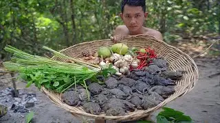 Tasty Food! Spicy Frogs Cooking in Forest Eating Delicious