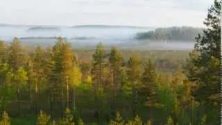 RMK matkatee Aegviidu-&Auml;hij&auml;rve