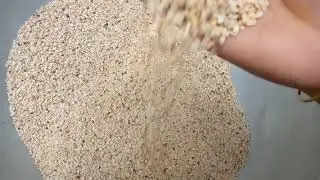 কোমড়ো বরি তৈরি করলাম