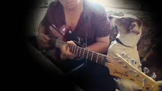 Jam Wild Melodic Metal  Guitar Backing Track Jam in Dm +Dog. Amplitube vst.