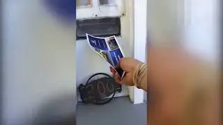 Best animal fails funny videos compilation of 2019