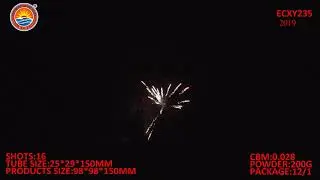 ECXY235 EAST COAST FIREWORKS 200G CAKES PYROTECHNICS