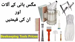 Beekeeping Tools Prices in Pakistan || Beekeeping Tools and Equipment