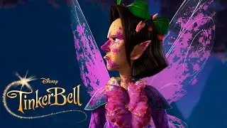 TinkerBell: Tinker fairies don't go to the mainland