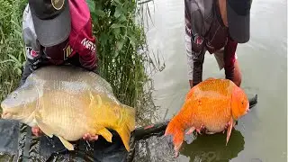 Ogromny Karp 20 kg Łowisko Kamień wyprawa marzeń