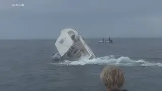 Whale hits boat off coast of New Hampshire
