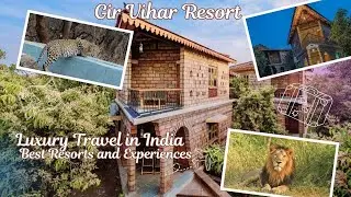 Best Luxury Resort in Sasan | Premium Stay at Gir Vihar Resort.#lifeisbutadream #yt #ytviral
