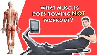 What Muscles Does Rowing NOT Work? What&rsquo;s Shockingly NOT Used & How to Maximize Your Workout!
