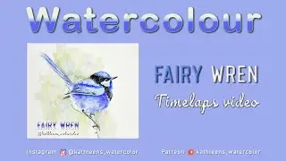 Fairy Wren Timelaps Video | Watercolor | Bird Aquarelle