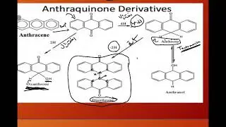 Anthraquinon glycoside 