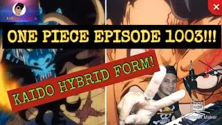 One Piece 1003! Live Reaction! KAIDO HYBRID FORM!!!