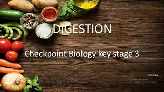 CAMBRIDGE CHECKPOINT BIOLOGY DIGESTION  OF FOOD YEAR 8