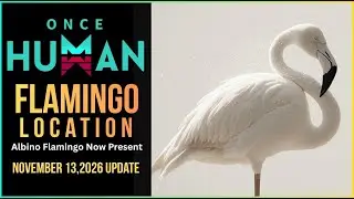 Местоположение фламинго в игре Once Human (устаревшая информация)