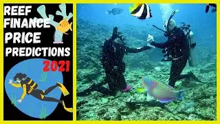 reef finance - reef finance price prediction - reef price prediction