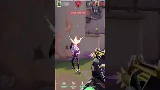 Ace  | #planteater_20 on #Twitch