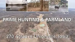 270-Acres of Prime Iowa Hunting Land & Farmland in Appanoose County