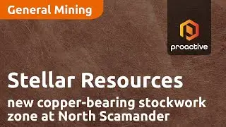 Stellar Resources reveals new copper-bearing stockwork zone at North Scamander
