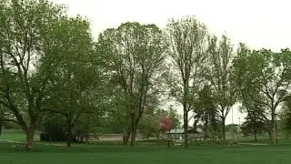 Health Check: Spring allergy season kicks into high gear
