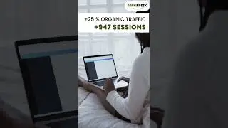 SEO Case Study | Rankingeek Marketing Agency | SEO Results