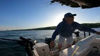 Chasing a $10k Fish