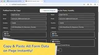 How to Copy & Paste All Form Data Across Page Instantly with Chrome Extension | MultiField CopyCat