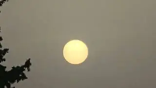 RARE! White SUN #sunset 