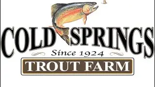 Fishing at cold spring and getting skunked