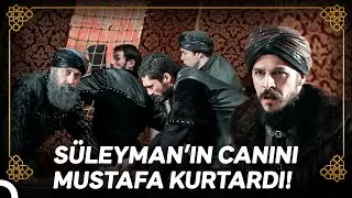 Kanuni'ye Düzenlenen Suikasti Mustafa Engelledi! | Osmanlı Tarihi