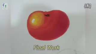 Tomato in Poster Colour