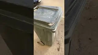 Бак для мусора.