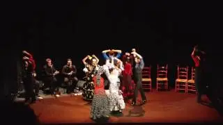 C&iacute;a.  Jos&eacute; Galv&aacute;n - Espect&aacute;culo flamenco 