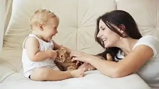 Funny And Cute Cats And Dogs Jealous Of Babies Compilation
